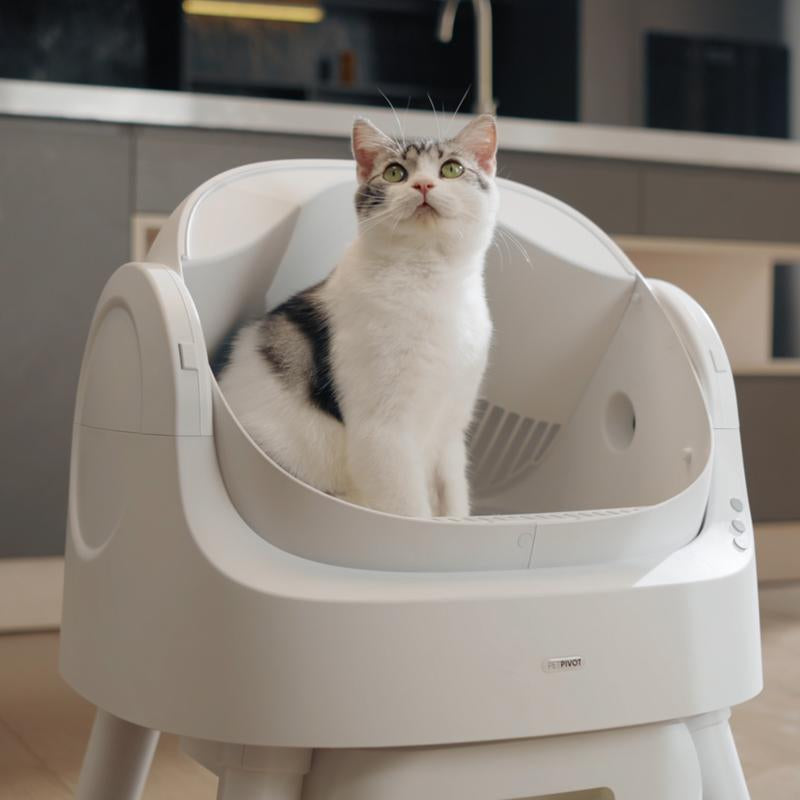 Petpivot Autoscooper 11™ – Offene, selbstreinigende Katzentoilette