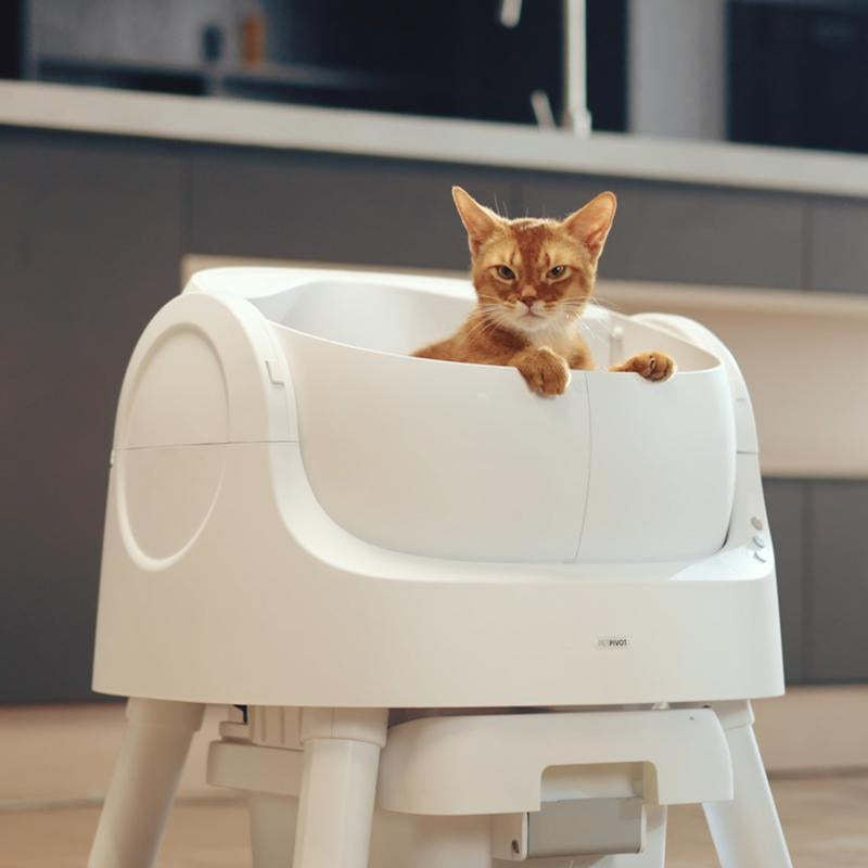 Petpivot Autoscooper 11™ – Offene, selbstreinigende Katzentoilette